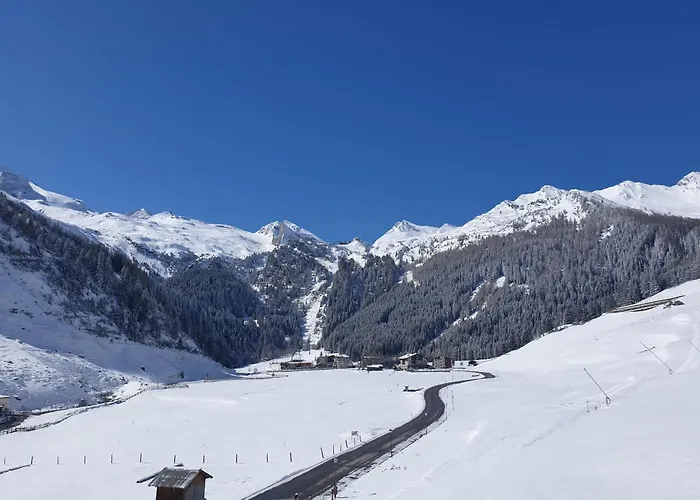 شقة Nennerhof تكس